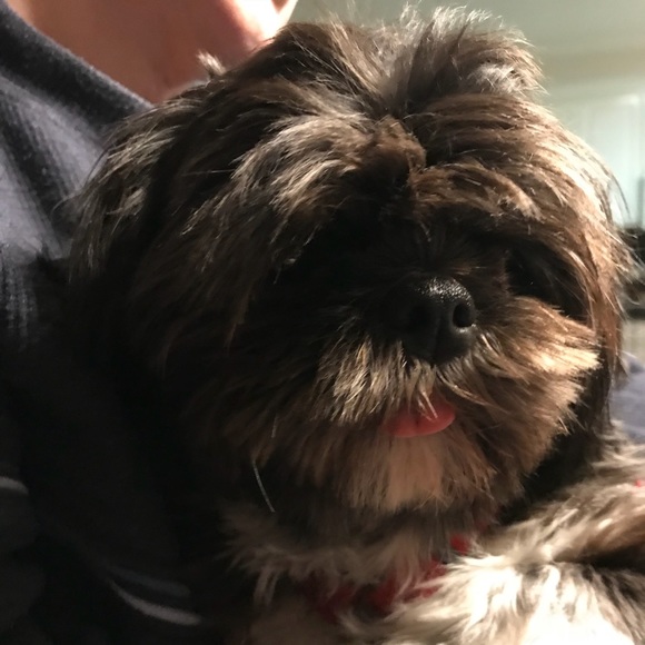 litlsisred